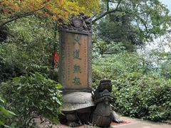 -青城山