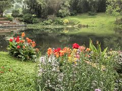 -云溪植物园