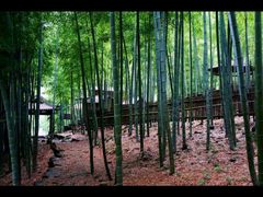 android_upload_pic-众神白水涧景区