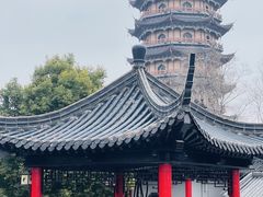 -葛仙湖公园