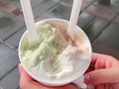 -DIP in GELATO(富民路店)