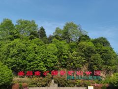 -遂昌金矿国家矿山公园