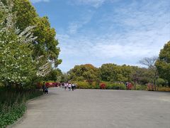 -上海滨江森林公园
