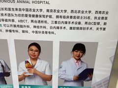 -谐和益家动物医院·免疫绝育·血液透析·宠保定点医院(高新伊藤分院)