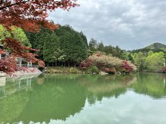 -四明山国家森林公园