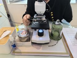 -黎蓓露·徒手骨雕蛋白抗衰·调肤管理