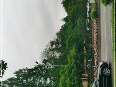 -浙江大学(玉泉校区)