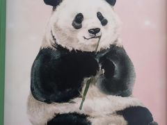 -成都动物园