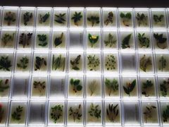 -广东中医药博物馆