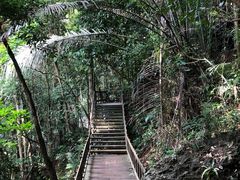 -七仙岭温泉国家森林公园