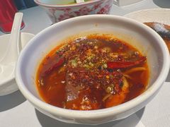 -柴门·头啖汤(天安千树店)