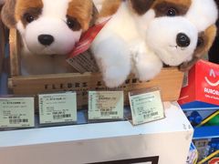 -雅米拉艺术中心(少儿舞蹈培训)