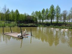 -宁波杭州湾国家湿地公园