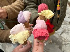 -Gelateria Dondoli