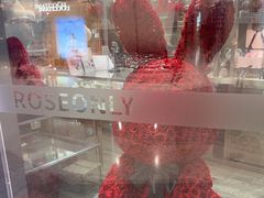 -ROSEONLY诺誓(沈阳万象城店)
