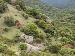 -大姆山草场