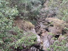 -祁门牯牛降观音堂风景区