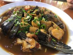 -全乐鱼馆·淳牌有机鱼直营店