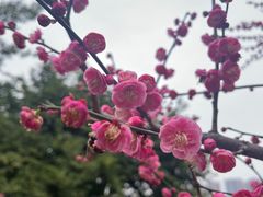 -重庆彩云湖湿地公园