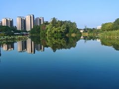 -新江湾城公园