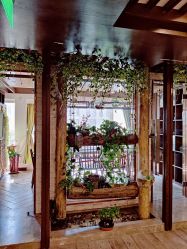 -青青一生美皮肤管理