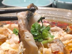 沸腾鱼片-梧桐花园餐厅(新城店)