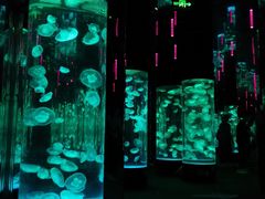 游乐设施-成都浩海立方海洋公园