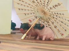-春家·非遗手工小吃(徐汇万科广场店)