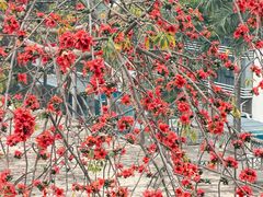 -中山大学附属第三医院(天河院区)