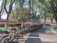 -昆山城市生态森林公园