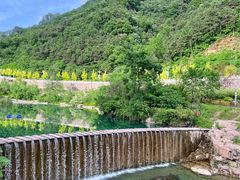 -王莽岭风景区
