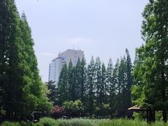-青岛海滨风景区