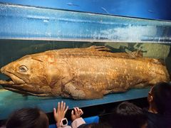 -国家自然博物馆