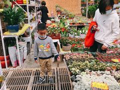 -秦美花卉(天朗·莱茵小城2期店)