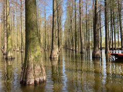 -渌洋湖湿地公园