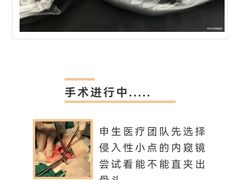-瑞派申生动物医院·24H夜诊·国际动物医疗中心·骨外科(吴中路店)