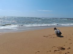 -日照灯塔风景区