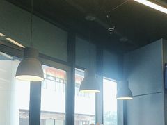-MT麦如麦立送(五矿live店)
