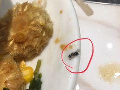 -为什么牛潮汕牛肉火锅(万胜广场店)
