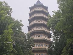 -灵谷景区