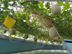 android_upload_pic-盈香心动乐园