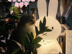 -咖法森林·咖啡  酒吧(天河店)