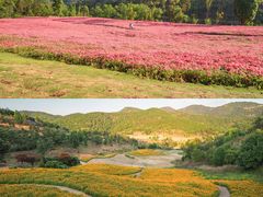 -孔雀湖生态旅游区