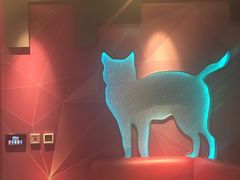 -米乐星世界KTV
