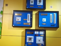 -上海昆虫博物馆