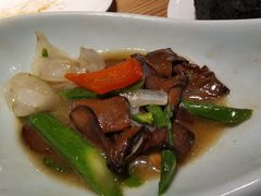 龙豆牛肝菌-素行天下(国投财富广场店)