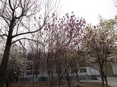 -北京信息科技大学(小营校区)