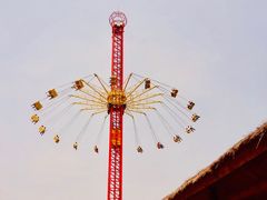 -太阳部落