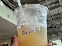 黄皮-SAANCI山池咖啡(海上世界文化艺术中心店)