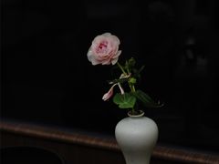 -扫雪煮茶(西村店)